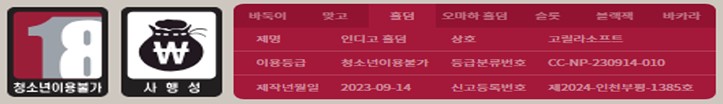 인디고홀덤 심의필.jpg